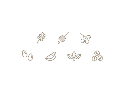 Coffee Tasting Note Iconography almond berry coffee floral honey icons lavender tasting