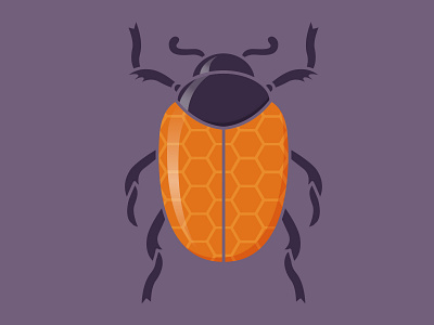 Honey Bee-tle beetle bug insect spot illustration vector