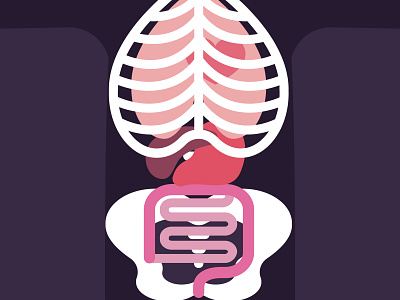 Torso anatomy editorial illustration flat health medical spot illustration vector vector art