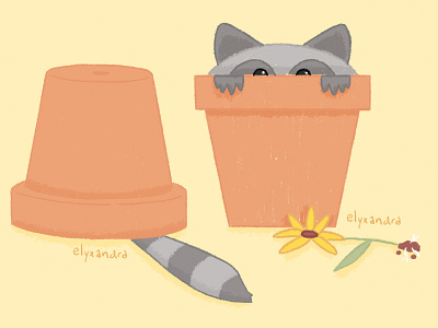 Hide and Peek childrens illustration flower pot garden raccoon spring