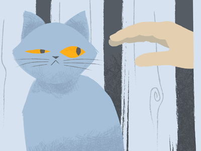 The Neighbour’s Cat cat digital illustration pet suspicious