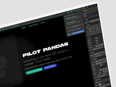 Pilot Pandas Project Launch