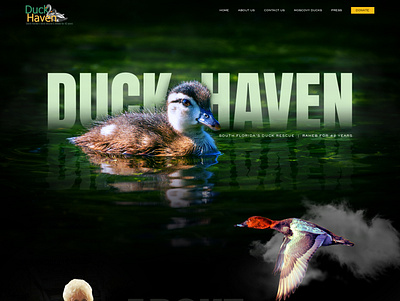 Full Website Design And Development branding color design illustration logo ui uiux user ux vector