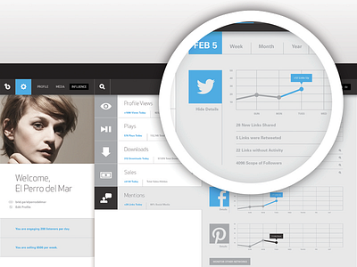 Influence Page UI charts influence infographic interface music profile social media statistics twitter ui website
