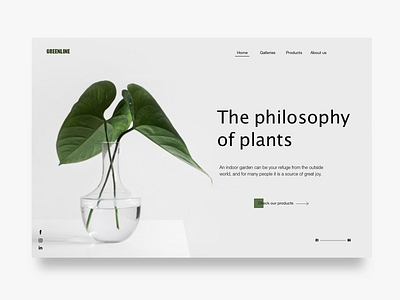 Philosophy of Plant