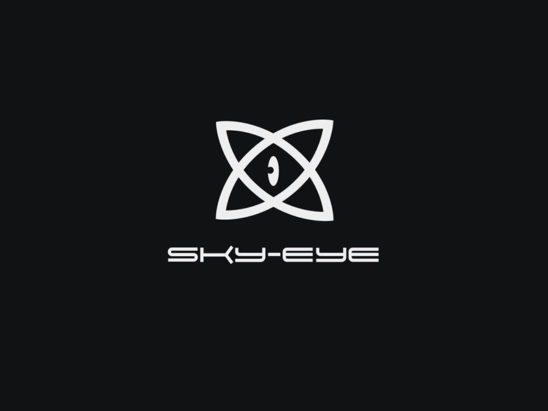 SkyEye Logo Animation animation branding clean design flat icon illustration lettering logo minimal type typography vector