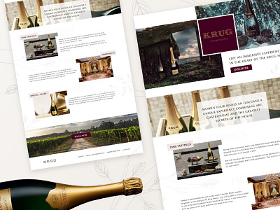 Krug experience website concept concept interface project ui ui design website