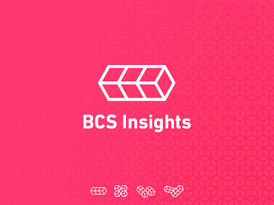 BCS Insights - Branding brand branding customer journey design graphic design illustrator logo marque print design typography