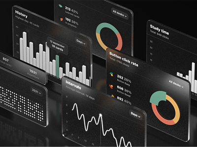 Anki App Statistics