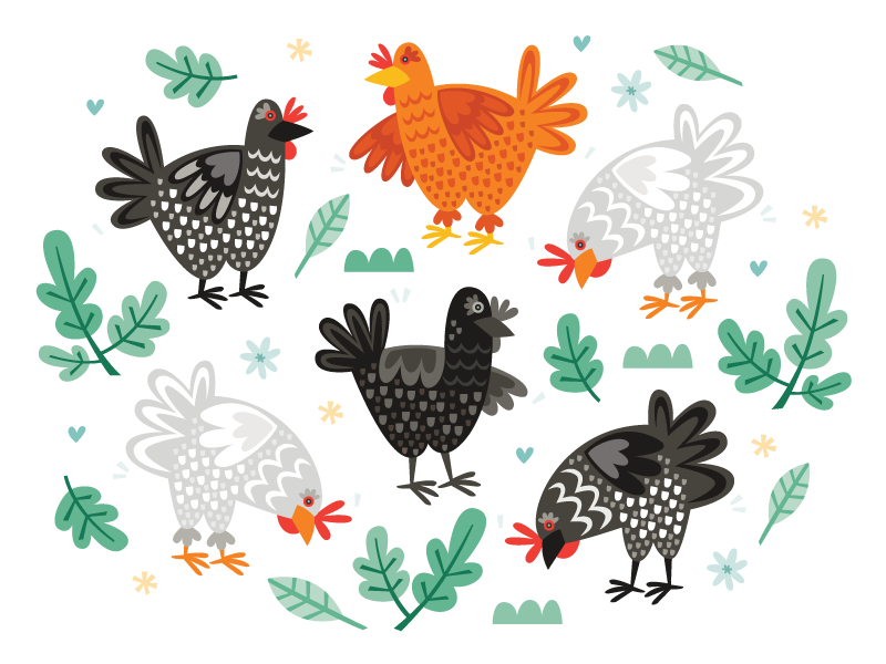 Chicken Scratch by Allie Ogg on Dribbble