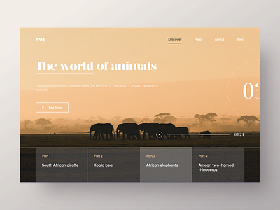 The world of animals