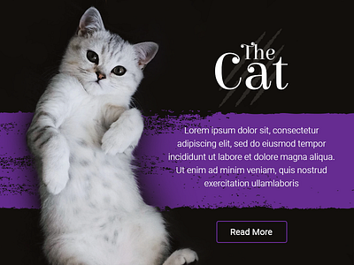 The Cat banner ui website
