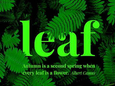 Leaf banner graphic design leaf typography