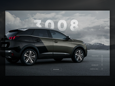 Peugeot 3008 Experience