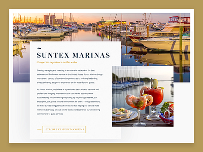 Suntex Marina design hero marina suntex ux ui web web design