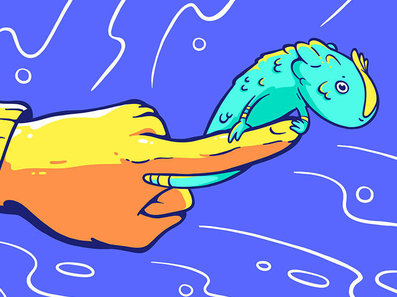 Lil lizard on normal size hand lizard drawing hand animal orange yellow blue 2d cartoon illustration