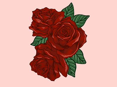 Roses Illustration illustration roses