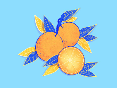 Spot Illustration: Orange