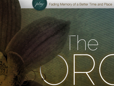 The Orchid (rebound) band website music nelly script orchid playbutton raleway texture typography website