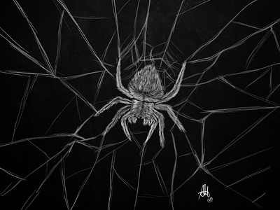 Spider art artwork digital digitalart photoshop spider