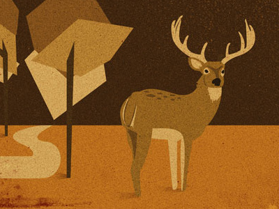 Cervo deer illustration texture