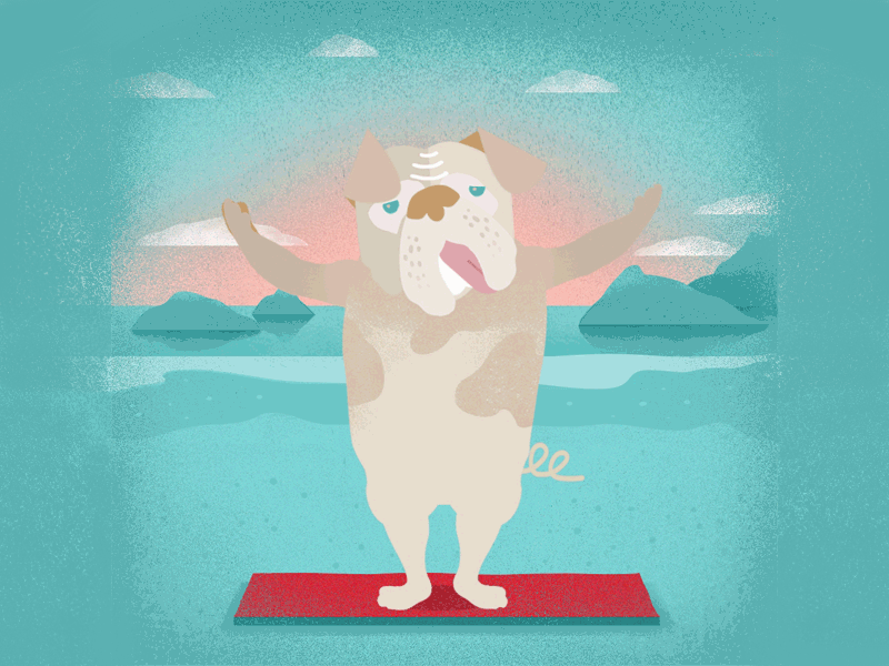 Loop for Bulldogyoga animal animation bulldog dog enjoy funny loop meditation relax sport yoga