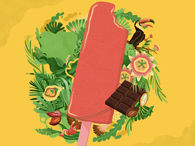 Illustrations for SoFruitty chocolate cocoa flowers foliage fruity icecream jungle plants toucan