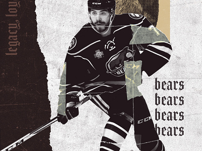 hershey bears — Concepts —