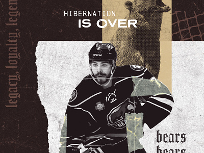 2018-19 Hershey Bears Campaign Visual Concept athlete athletic bears blackletter collage grunge hershey bears hockey hockey player player ripped shredded sports texture torn