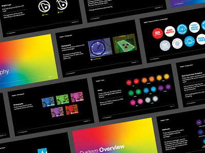 Brightz Style Guide branding branding design design graphic design packagedesign packaging style guide system system design