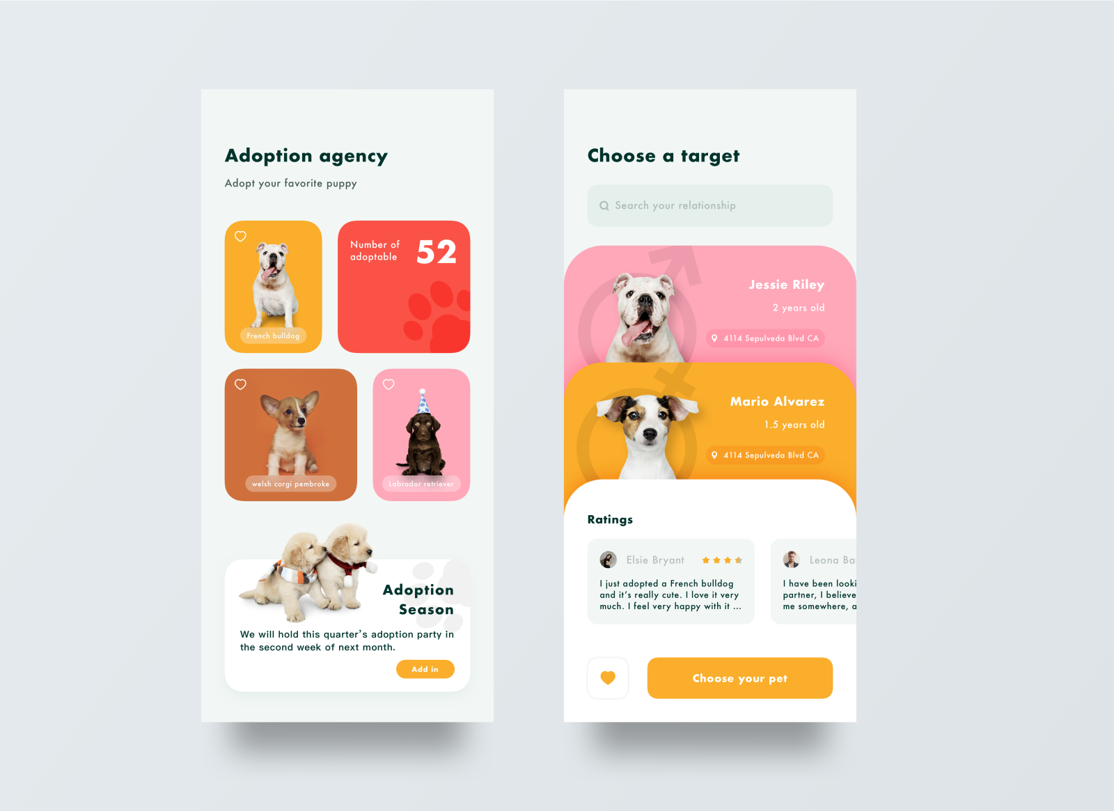 Pet adoption by Huboooooo on Dribbble