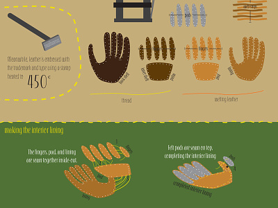 How It's Made: Baseball Glove baseball design graphic design infographic layout design