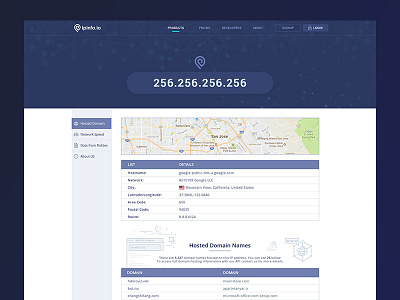 ipinfo.io ipinfo.io landing ui ux webdesign