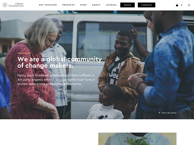 THE OBAKKI FOUNDATION branding checkout illustration landingpage ui web web design webdesign