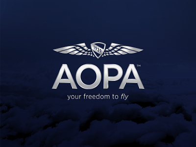AOPA Identity aircraft airplane blue flight fly freedom icon identity logo shield wings year