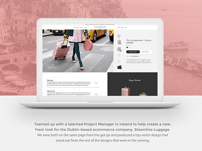 Steamline Luggage fashion luggage responsive ui ux web