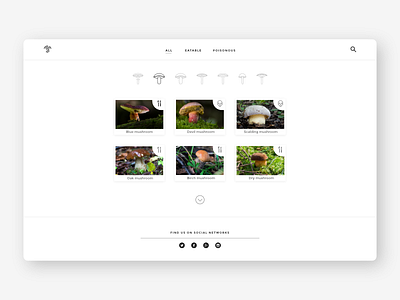 Mushroom website design forest gathering mushroom nature web webdesign