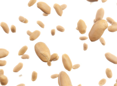 Inside a Peanut 3d animation cgi food peanut photorealistic render styleframe vfx