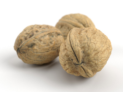 Three Walnuts #1