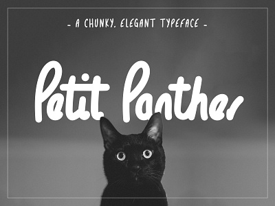 Petit Panther typeface adobe illustrator black and white black cat hand drawn handwritten handwritten font type typeface