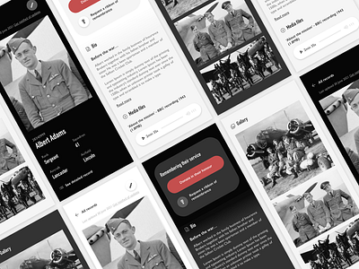 Soldier record in light and dark mode dark mode light and dark light mode military history mobile museum second world war soldier record ui ux