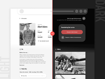 Soldier's record in light and dark mode on desktop