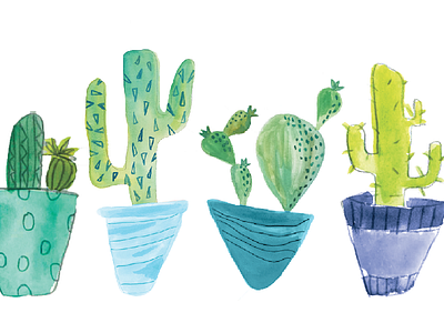 illustration of cacti blue cactus green illustration invitation watercolor
