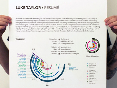 Resumé Poster curriculum cv experience graph graphic infographic poster print resume resumé timeline vitae