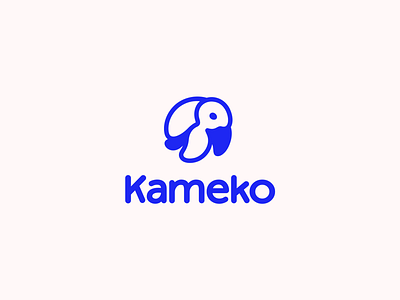 Kameko branding cute design funy logo turtle vector