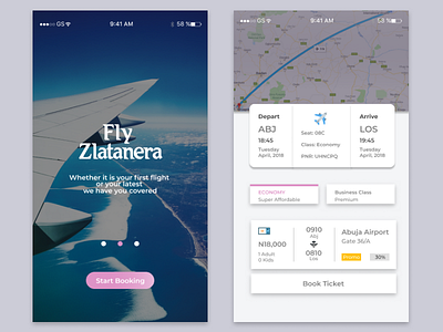 Airline Booking Page airline airport app booking flight