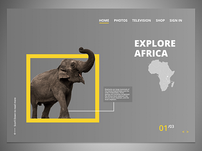 Africa Geograhic Landing Page adeventure design landing page nigeria web website