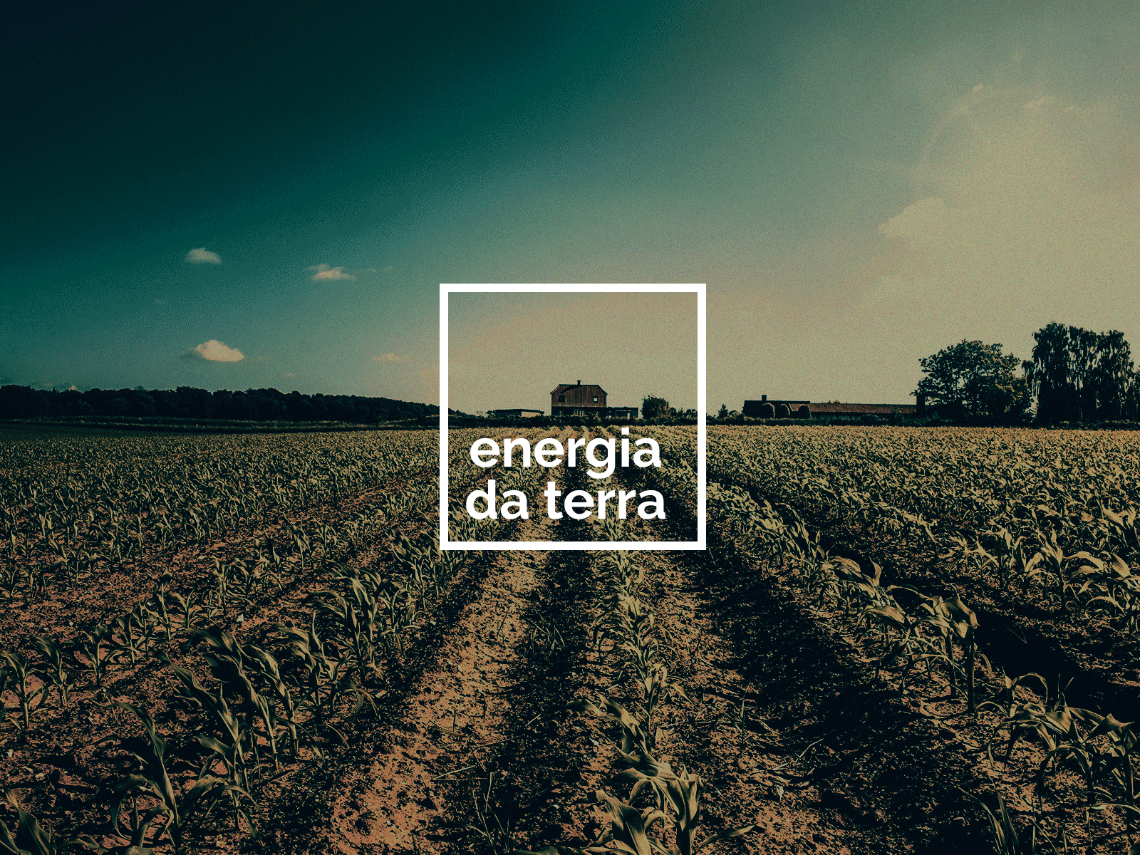 Energia da Terra advertising art direction design food healthy logo