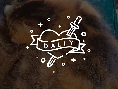 Dally cat cute dally kitten purr queen