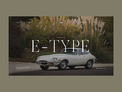 E-Type Concept